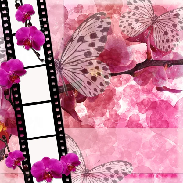 Mariposas y orquídeas flores fondo rosa con película fram — Foto de Stock