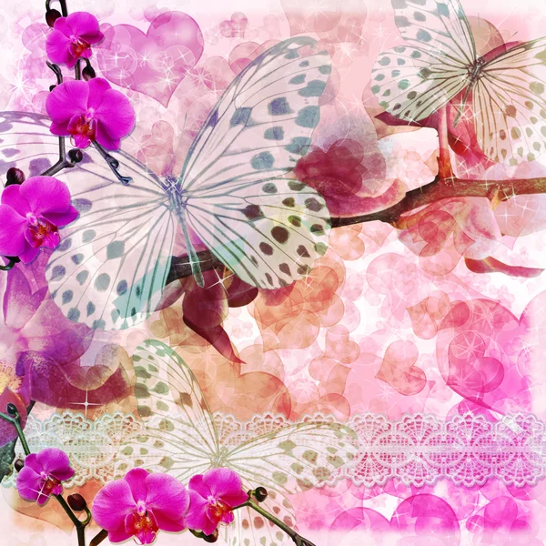 Motýlů Orchidejí Květy Růžové Pozadí Krajkou Sada — Stock fotografie