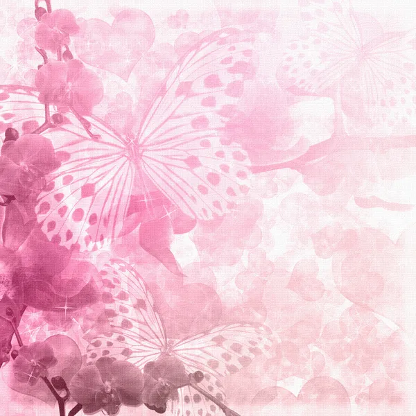 チョウとランの花のピンクの背景 ストック写真