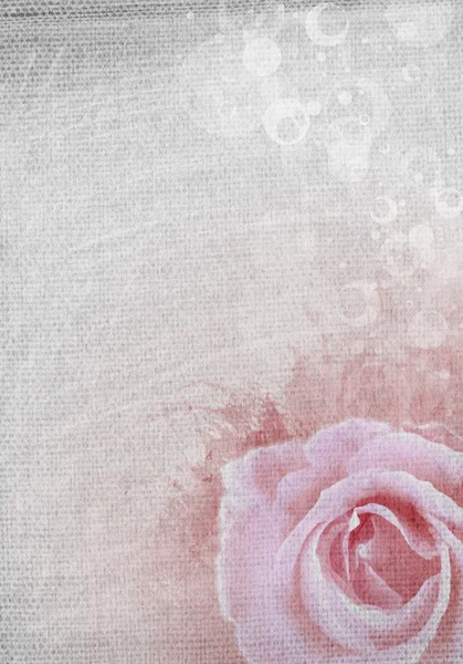 Grunge fond rose avec rose — Photo