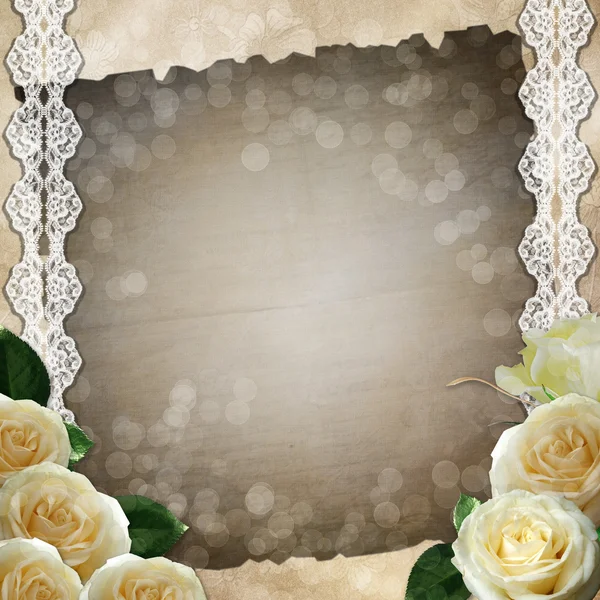 Fondo geige vintage con encaje y rosas blancas — Foto de Stock