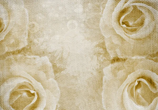 Grunge Rosa Hintergrund Mit Rose — Stockfoto