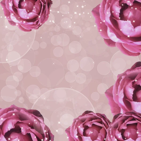 Fondo Felicitación Con Elementos Rosas — Foto de Stock