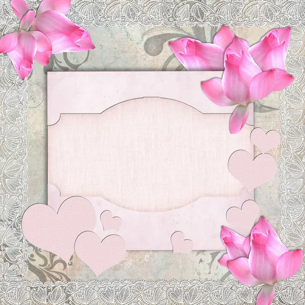 お祝いやピンクの蘭の招待状カード — ストック写真