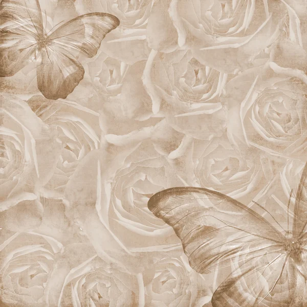 Grunge schöne Rosen Hintergrund mit Schmetterling (1 von set) — Stockfoto