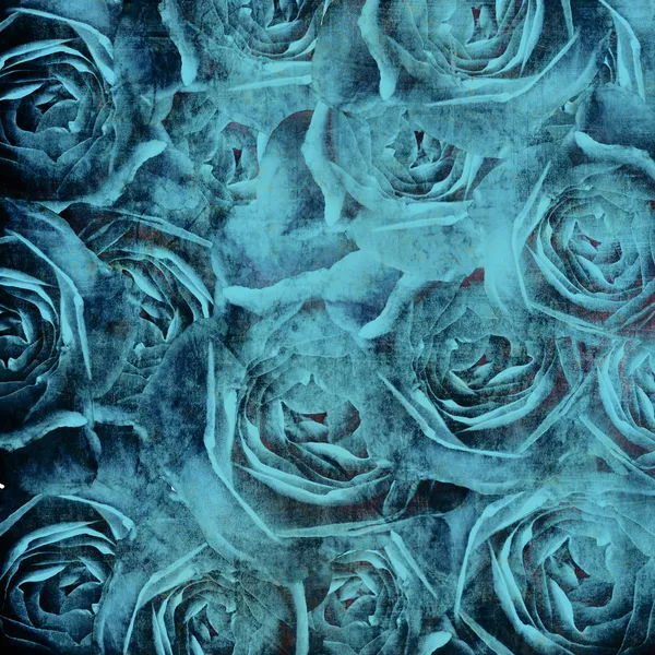 Grunge Beautiful Blue Roses Background — Stok fotoğraf