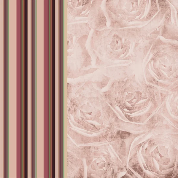 Полосатый цветной фон с розами — стоковое фото