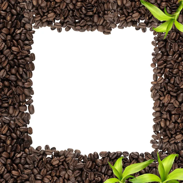 Beautiful coffee frame — Stock Photo, Image
