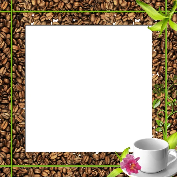 Kopje koffie en een zaden als prachtige achtergrond — Stockfoto