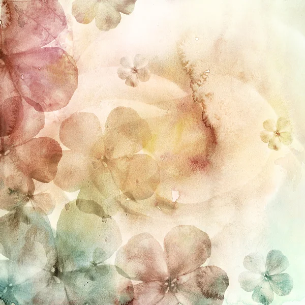 수채화 배경에 꽃이 피다 로열티 프리 스톡 이미지