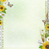 Summer background with butterfly, lace and flowers (1 of set)