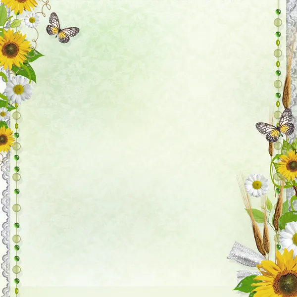 Летний фон с бабочкой, кружевами и цветами (1 комплект ) — стоковое фото