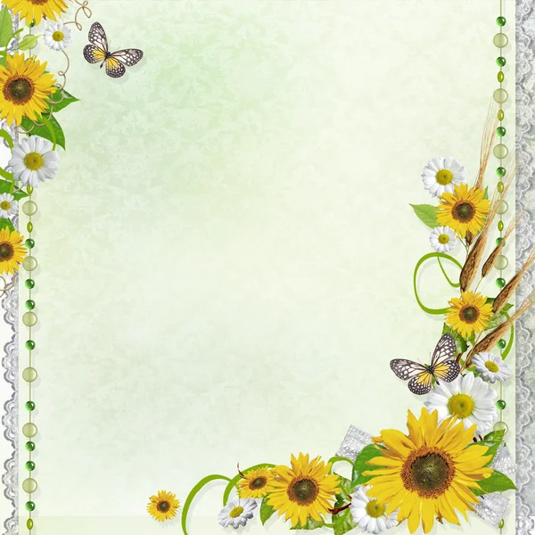 Zomer achtergrond met zonnebloemen (1 van set) — Stockfoto