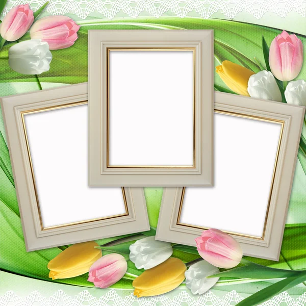 Три рамки и цветы тюльпанов — стоковое фото