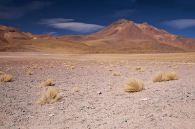 Volcano Miniques in Atacama desert, Chile clipart