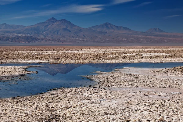 Salar de Atacama, Chile — Stock fotografie