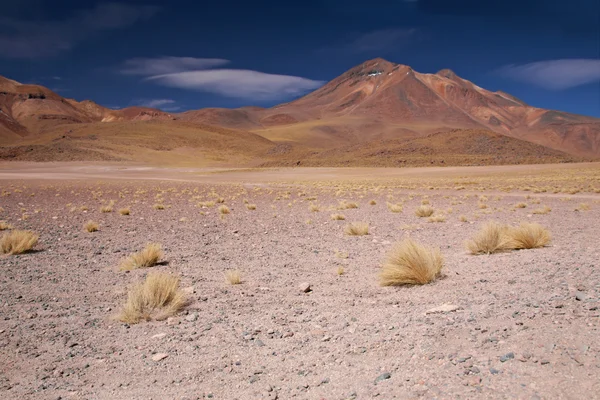 Miniques de vulcão no deserto de Atacama, Chile — Fotografia de Stock