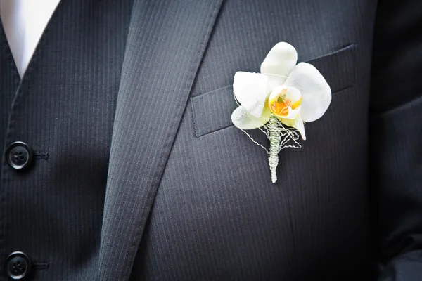 Орхидея на костюме — стоковое фото