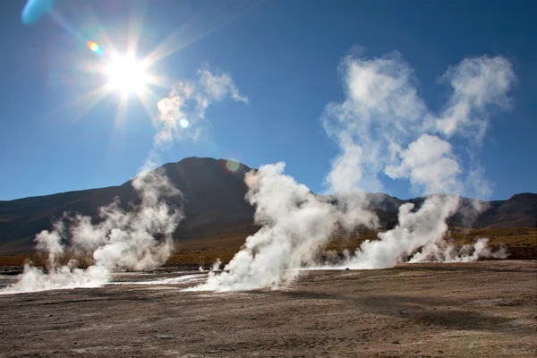 Campo geyser El Tatio nella retroilluminazione, regione di Atacama, Cile — Foto Stock
