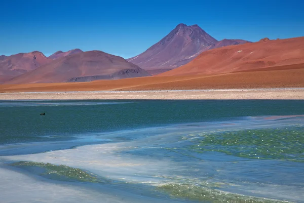 Vista sobre lagoa congelada Quepiaco e vulcão Acamarachi no deserto de Atacama, Ch — Fotografia de Stock