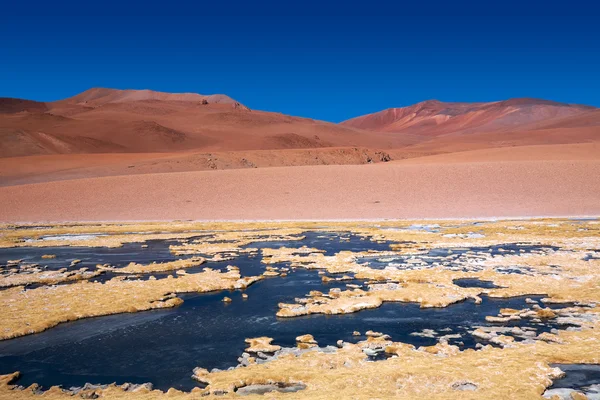 Lagoa congelada Quepiaco no deserto do Atacama, Chile — Fotografia de Stock