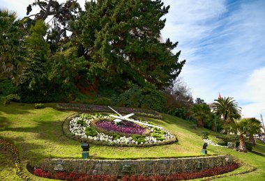 Large flower clock in Vina del Mar, Chile clipart