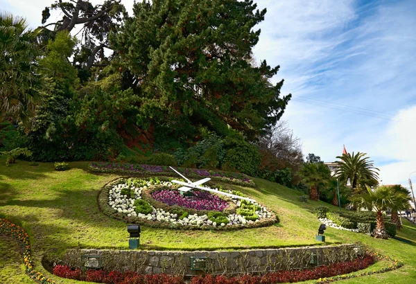 ビニャデルマル、大型の花時計チリ — ストック写真