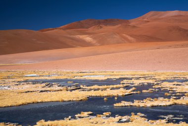 Frozen lagoon in Atacama desert, Chile clipart