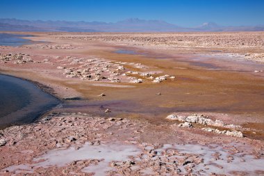 Salar de Atacama, Şili