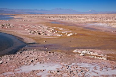 Salar de Atacama, Chile clipart