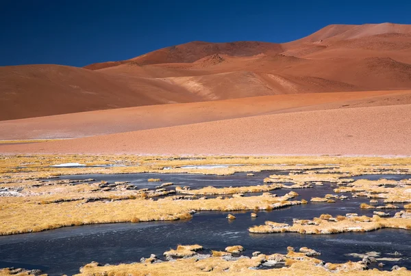 Заморожені лагуни в пустелі Атакама, Чилі — стокове фото