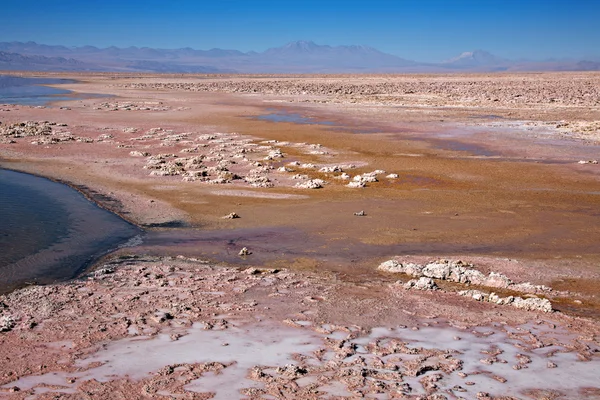 Salar de Atacama, Chile állam — Stock Fotó