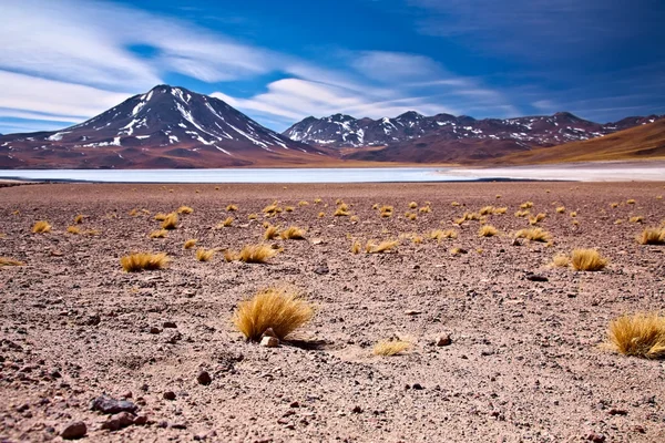 Altiplano lagoon Miscanti рядом с cerro Miscanti, пустыня Атакама, Чили — стоковое фото