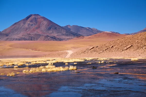 Estratovulcão Cerro Colorado perto de Rio Putana na região do Atacama, Chile — Fotografia de Stock