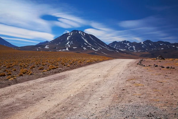 Вулкан Мисканти Пустыня Атакама Чили — стоковое фото