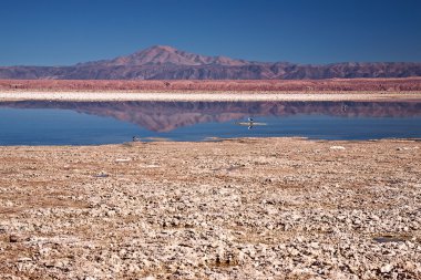 Laguna Chaxa in Salar de Atacama, Chile clipart
