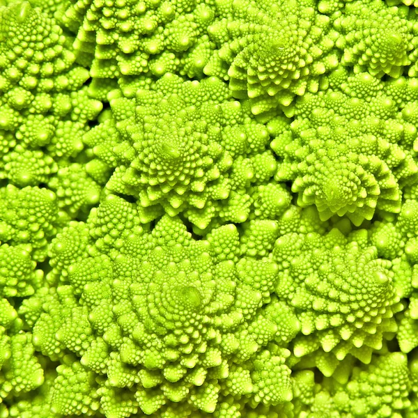 Cabbage Romanesco Background — Stock Photo, Image