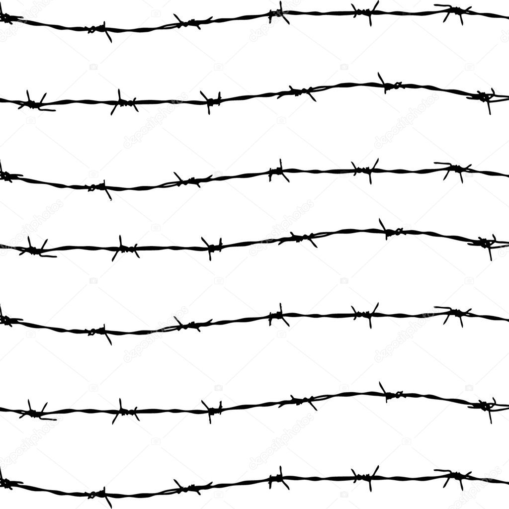 Fence from barbed wires