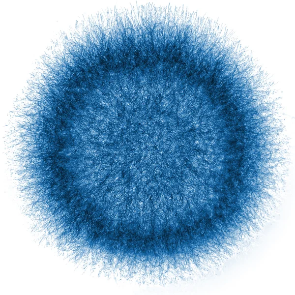 Macro X-ray shot of fuzzy mold — Stock Photo, Image