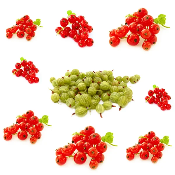 ベリーのコラージュ、gooseberries およびスグリ赤 — ストック写真