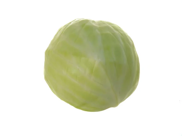Cabbage isolated on a white background — Stock Photo, Image