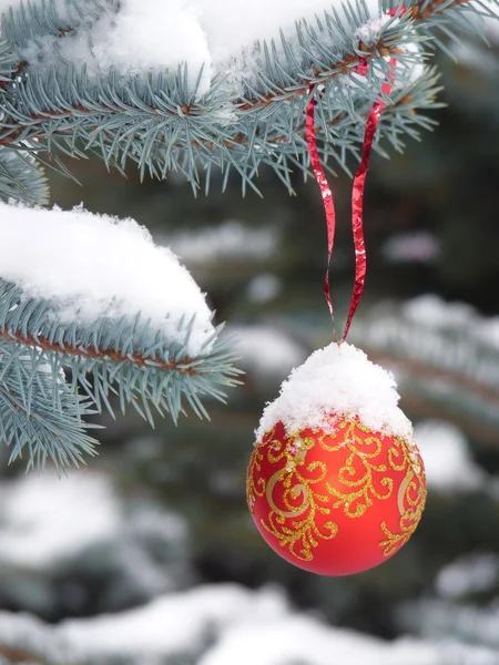 Bola de nieve en el árbol de la calle — Foto de Stock