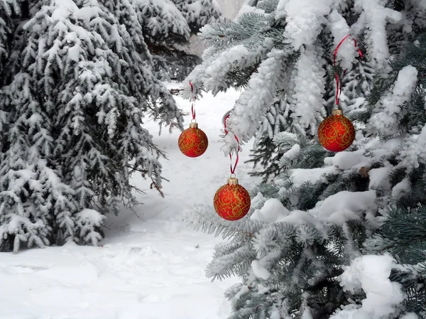 Sněhové koule na ulici strom — Stock fotografie