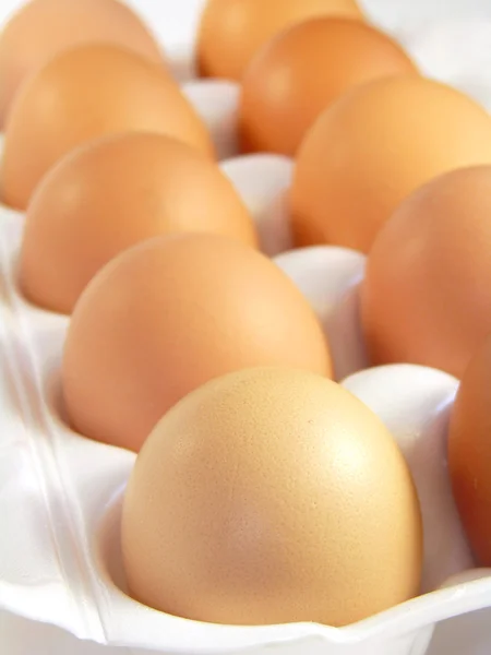 Бурые Яйца Упаковке — стоковое фото