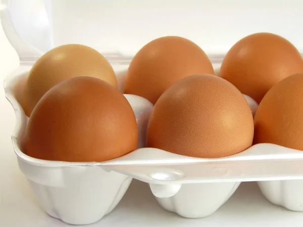 Бурые яйца в упаковке — стоковое фото