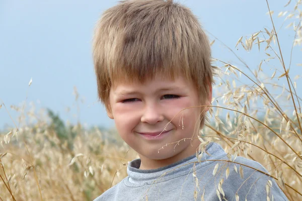 Portrait Boy Field — Stock Photo, Image