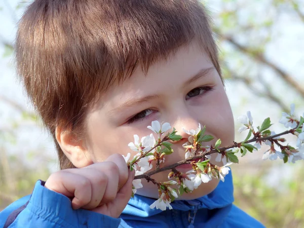 Retrato de um menino com um buquê de flores de prado — Fotografia de Stock
