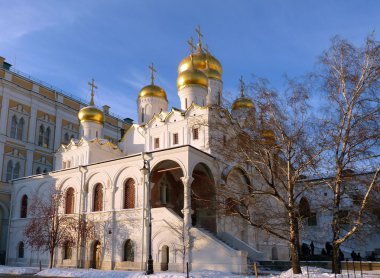 Moskova kremlin Hıristiyan Katedrali. Rusya