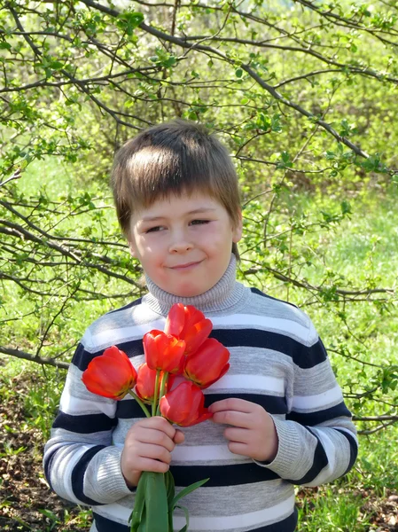 一个男孩用一束红色郁金香的肖像 — 图库照片