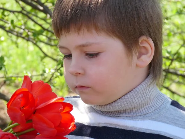 Retrato de um menino com um buquê de tulipas vermelhas — Fotografia de Stock